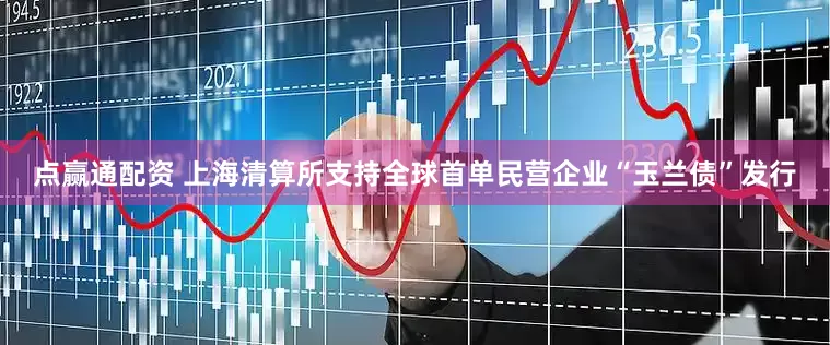点赢通配资 上海清算所支持全球首单民营企业“玉兰债”发行